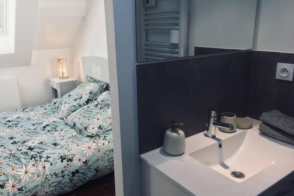 Tonnerre Grand Studio De Charme Au Coeur De La Ville Εξωτερικό φωτογραφία